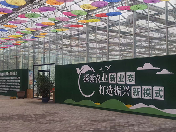 湖北新農業智能大棚建設